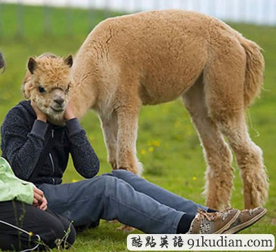 趣图妙语:睁大眼睛看清楚,这只是巧合!