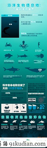 下面的美丽世界——海洋生物栖息地