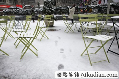 趣图妙语:2012年纽约的第一场大雪