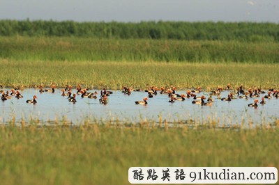 环球之旅:中国新疆湖泊正在消失